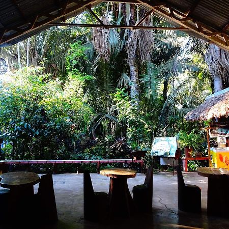 Villa Hermosa De Tambopata Casa Hospedaje & Hostel Puerto Maldonado Eksteriør bilde