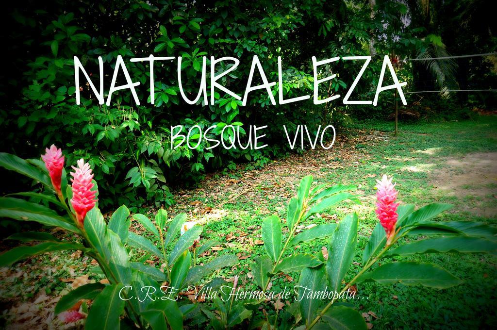 Villa Hermosa De Tambopata Casa Hospedaje & Hostel Puerto Maldonado Eksteriør bilde