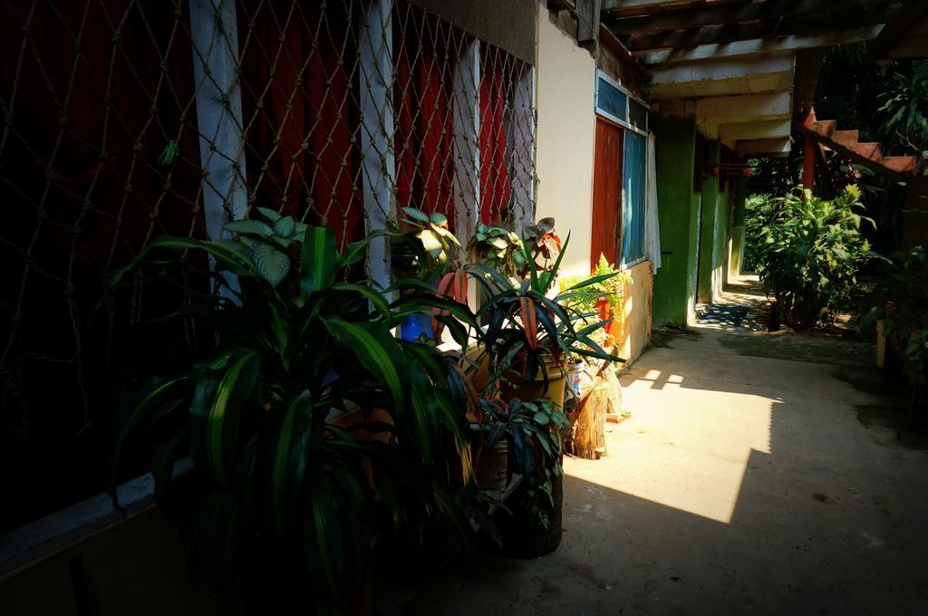 Villa Hermosa De Tambopata Casa Hospedaje & Hostel Puerto Maldonado Eksteriør bilde