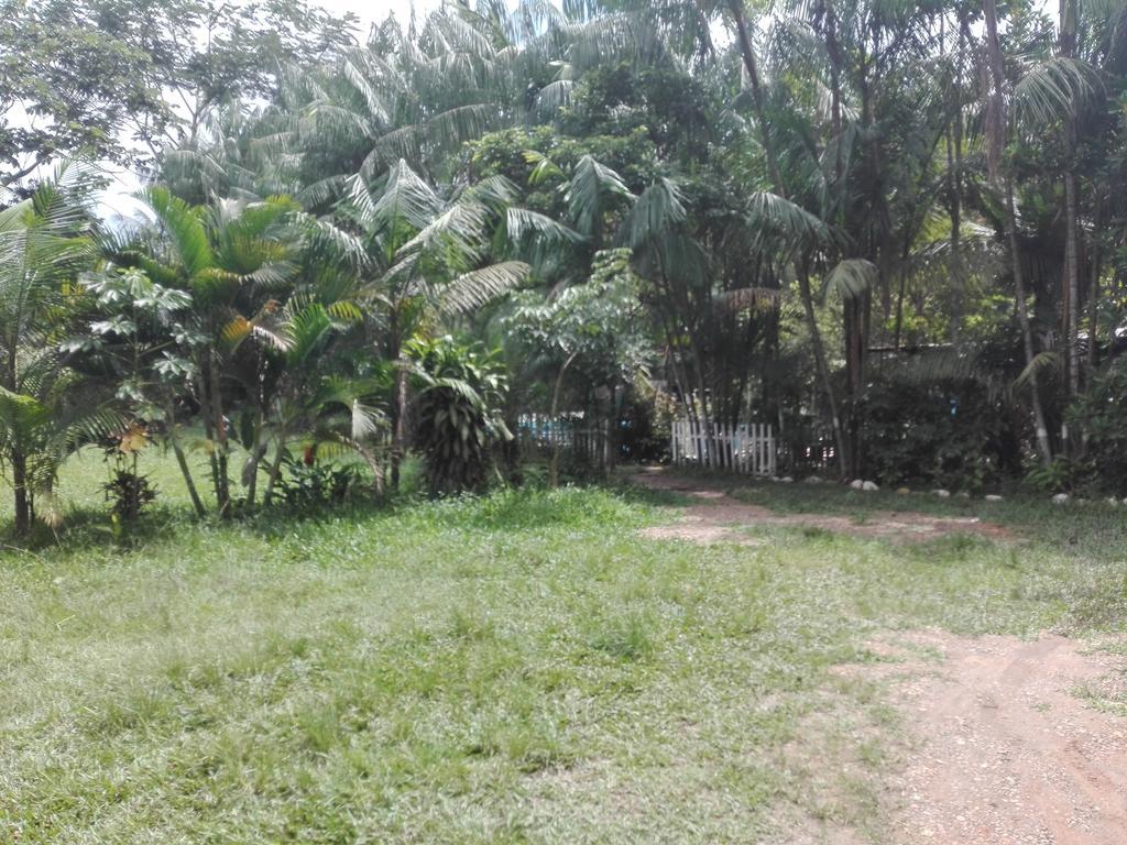 Villa Hermosa De Tambopata Casa Hospedaje & Hostel Puerto Maldonado Eksteriør bilde