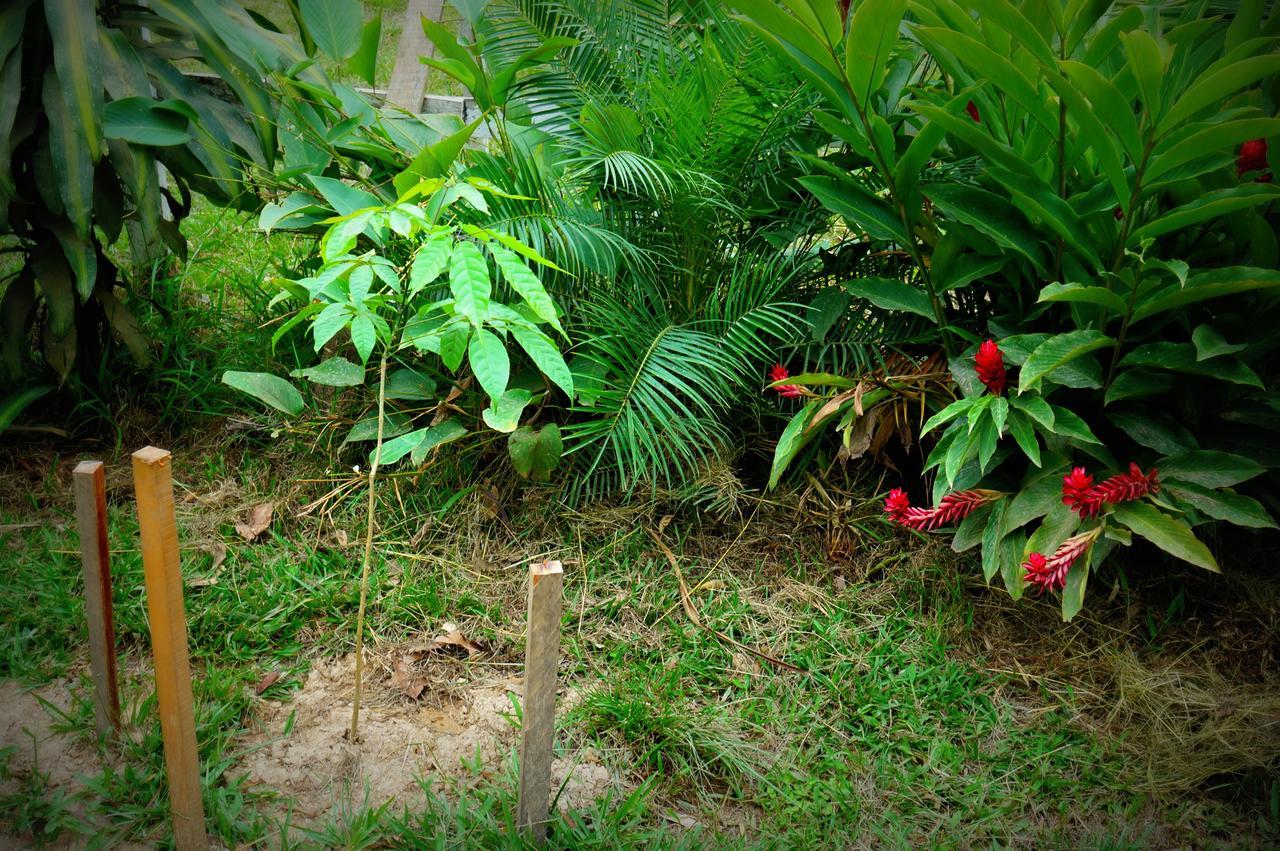 Villa Hermosa De Tambopata Casa Hospedaje & Hostel Puerto Maldonado Eksteriør bilde